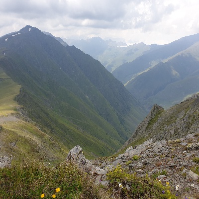 20190719_140008.JPG