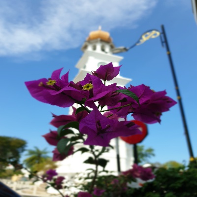 20191229_115530.jpg