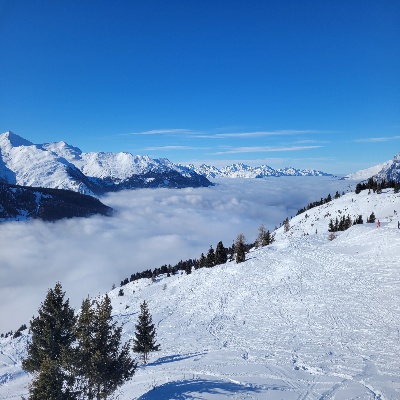 20230126_143039.jpg