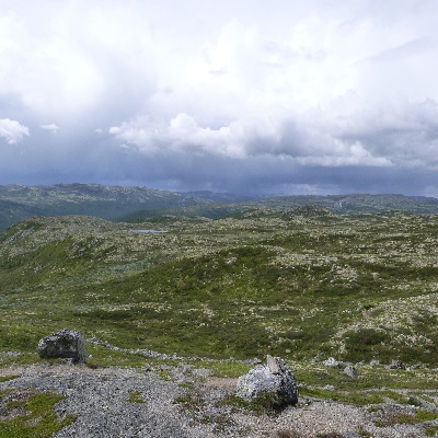 P1000356.JPG
