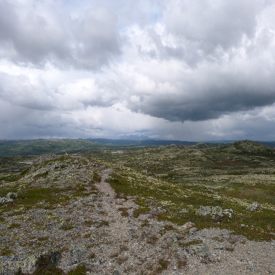 P1000367.JPG