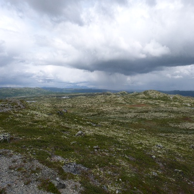 P1000378.JPG
