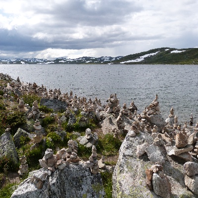 P1000390.JPG