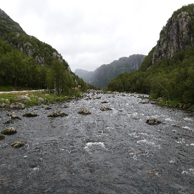 P1000723.JPG