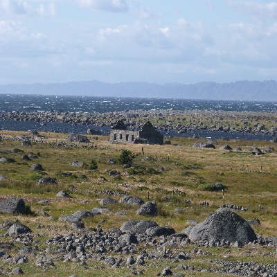 P1000786.JPG