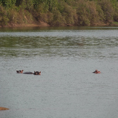 P1060493.JPG
