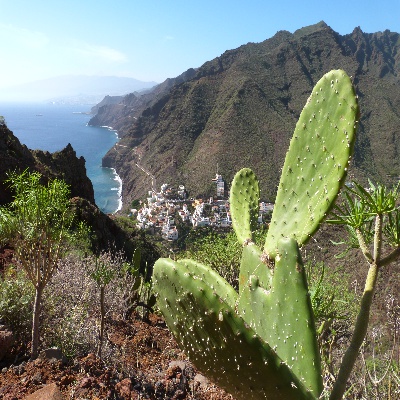 P1070149.JPG